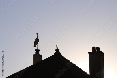 cigogne à la tombée de la nuit 