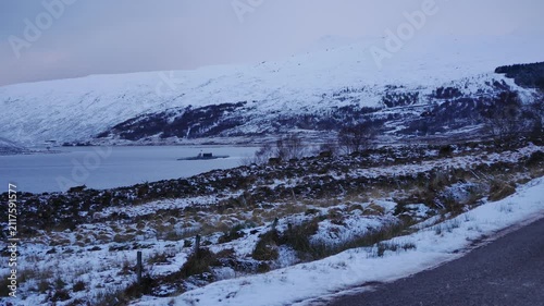 Red Deer stags ( Cervus elaphus ) in a glen at Loch Shin Sutherland Scotland UK