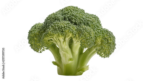 Obraz na plátně Fresh green broccoli floret with dense florets and thick stalk, isolated on tran
