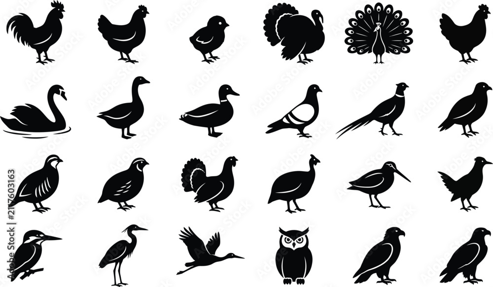 Obraz premium Collection of various farm and wild bird icons presented in a clean black and white silhouette