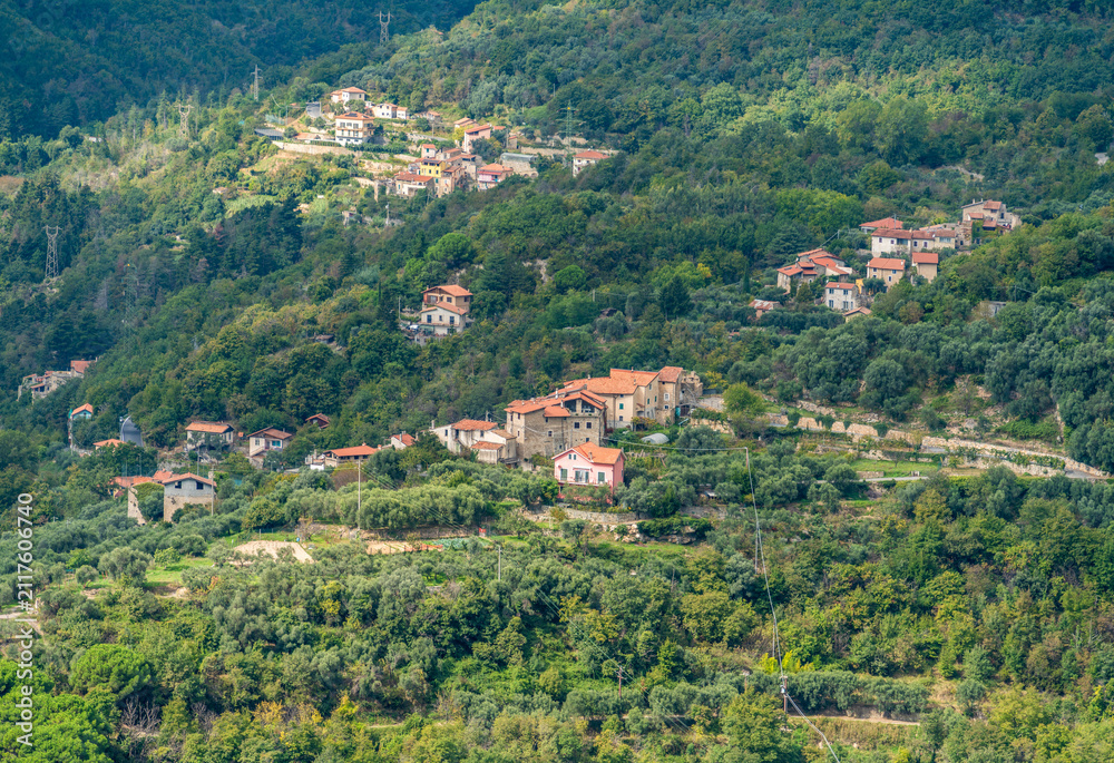 Obraz premium Around Castelvecchio di Rocca Barbena