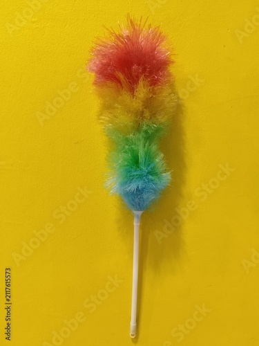Принти на полотні colorful feather duster