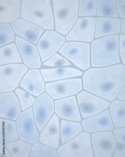 Konstfotografi Microscopic view of cells with nuclei