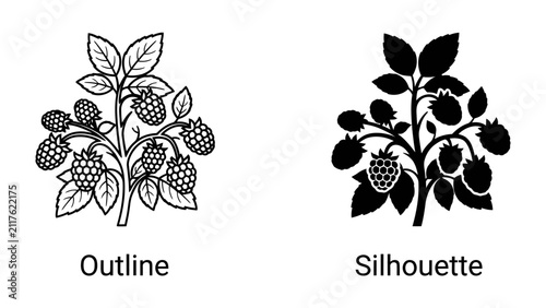 Raspberry Bush Illustrations: Two artistic depictions of a ripe raspberry bush, one in outline and the other as a solid silhouette, showcasing the fruit and foliage in contrasting styles.