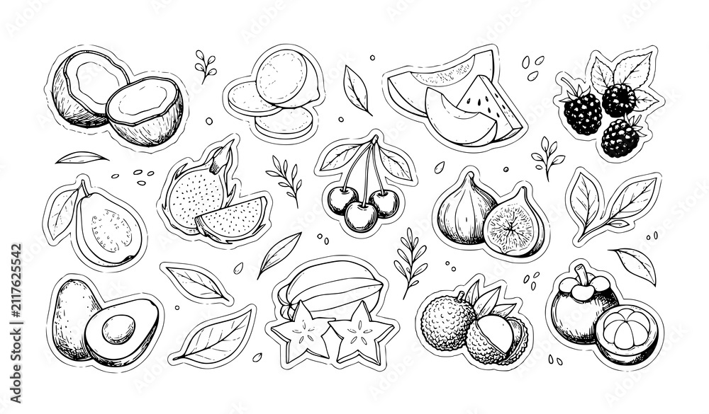 Obraz premium Botanical Hand Drawn Exotic Fruit Sticker Collection with Coconut Lemon Dragon Fruit and Organic Food Sketches
