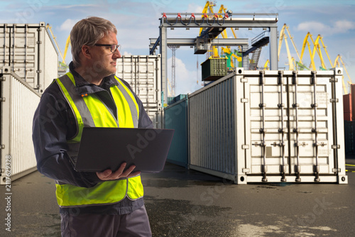 Port logistics. Engineer checks cargo containers with laptop at shipping terminal near cranes and freight storage area
