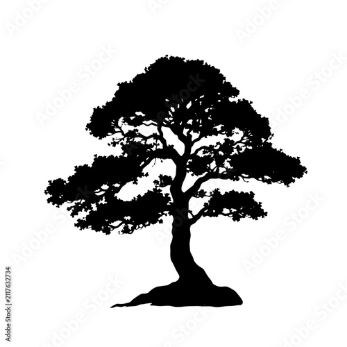 Black Tree Silhouette Vector Graphic Element On White