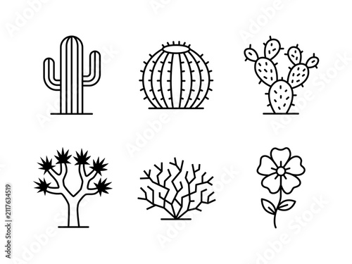 Desert Plant Icon Set Minimalist Cactus and Succulent Outlines