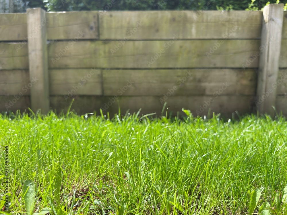 Fototapeta premium Beautiful backyard landscaping: Manicured green lawn bordered by a timber retaining wall