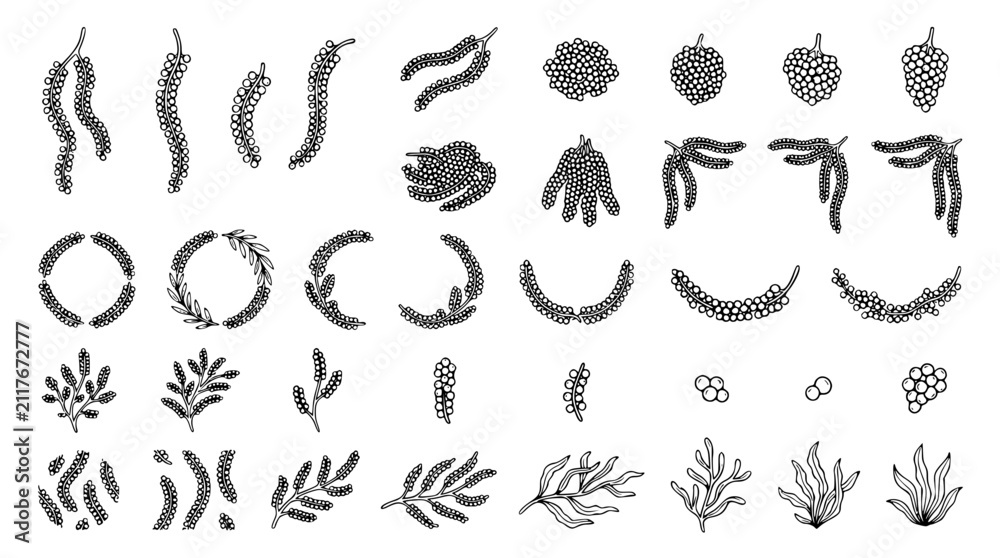 Fototapeta premium Okinawa Umi Budou Sea Grapes Hand Drawn Black Outline Vector Collection