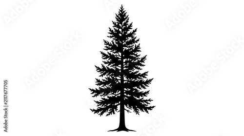 Obraz na płótnie Coniferous tree silhouette with a pointed top and dense, downward-sloping branches stands vertically against a plain white background