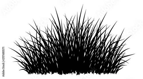 Cuadro en lienzo Dense black silhouette of a large, full bush of grass with numerous thin blades creates a natural border on a plain white background