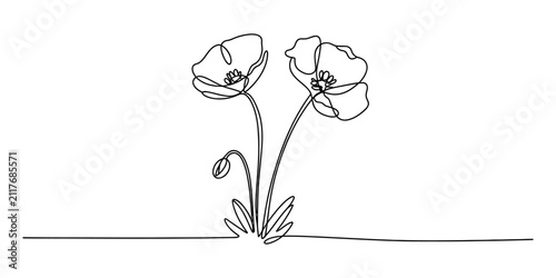 Two poppy flowers in a continuous single line drawing style