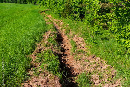 Fotografie Freshly plowed firebreak trench separating a bright green grassy field from a de