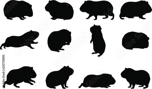 Quadro su tela Guinea Pig Silhouettes Set Vector Illustration for Pet Care Veterinary and Domes