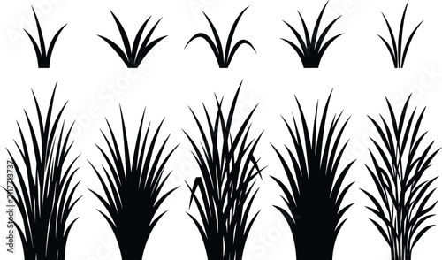 Grass Tufts and Wild Reeds Silhouette Vector Set for Nature and Landscape Designs