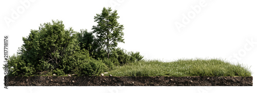 фотографія Grassy terrain with lush green foliage and exposed soil presented on transparent