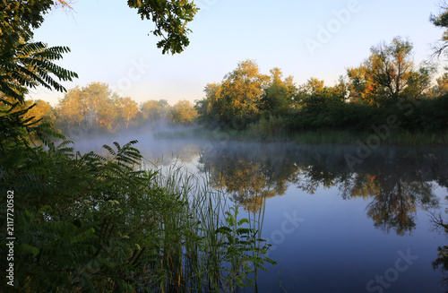 Misty river at sunrise with trees reflecting in the calm water