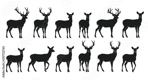 Fotografía Silhouettes of Elegant Deer with Antlers in a Row.