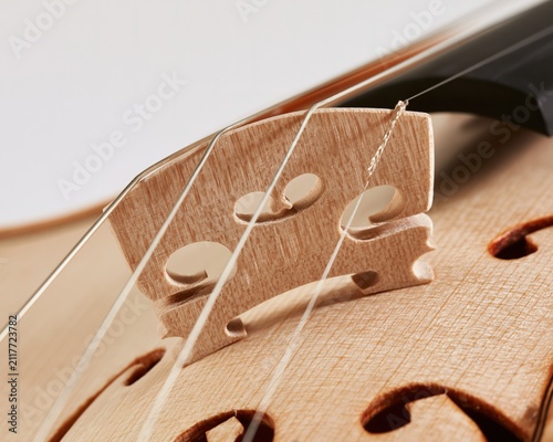 Close-up of Violin F-holes and Strings