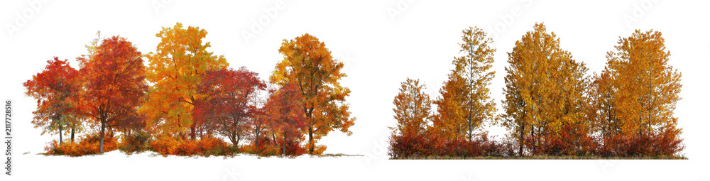 Obraz premium PNG Autumn trees isolated, transparent background