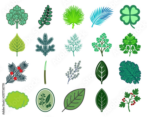 Collection of diverse botanical leaf symbols including clover palm pine and herbs for environmental and natural graphic design projects