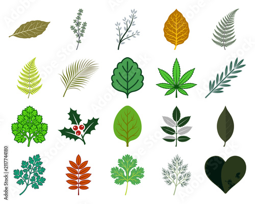 Collection of diverse botanical leaf icons including green foliage, autumn leaves, ferns, and organic herb shapes for natural design.