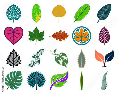 Vector set of diverse botanical leaf icons featuring monstera maple oak and tropical foliage for nature environment and floral designs