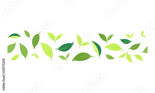 Minimalist green tea leaves forming a continuous bottom border on a white background with flat shapes and clean edges. Healthy organic nature concept