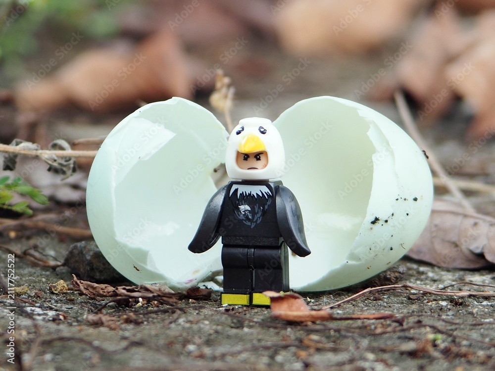 Fototapeta premium Indonesia - May 3, 2025 : Mini toy of action figure at outdoor with blurred background. Toy photography concept design. Minifigure of Black Bird character coming out from egg. New born concept.