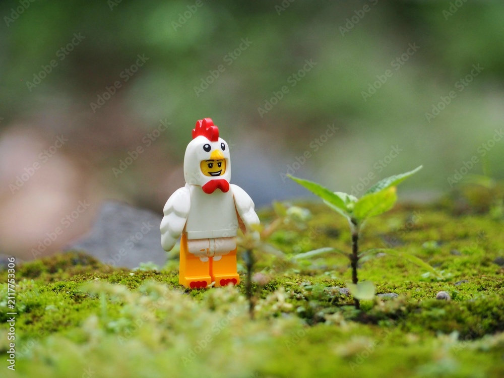 Fototapeta premium Indonesia - November 27, 2019 : Mini toy of action figure at grassland with blurred background. Toy photography concept. Chicken at outdoor with green grass conceptual design.