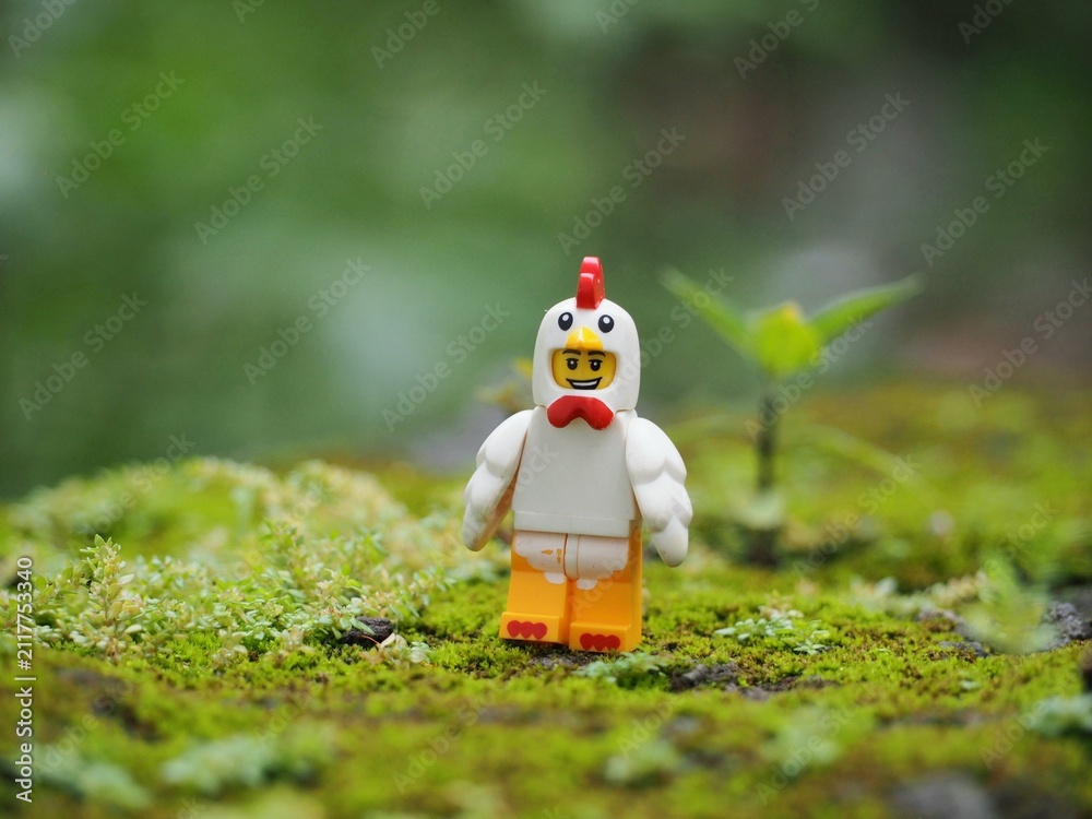 Fototapeta premium Indonesia - November 27, 2019 : Mini toy of action figure at grassland with blurred background. Toy photography concept. Chicken at outdoor with green grass conceptual design.