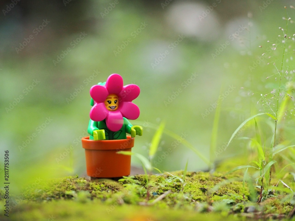 Fototapeta premium Indonesia - May 31, 2026 : Mini toy of action figure at outdoor with blur background. Miniature photography concept design. Minifigure of rose flower character at grass land.