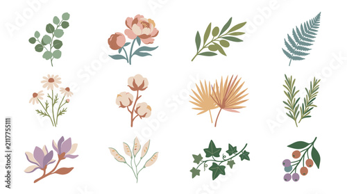 Colorful Hand Drawn Botanical Flower and Leaf Illustrations.