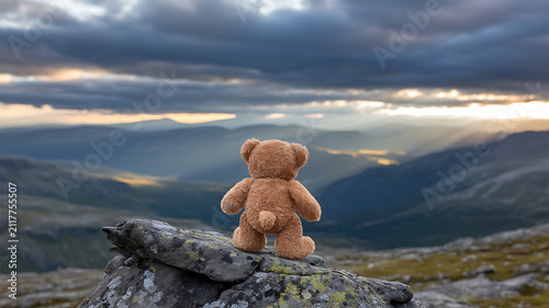 Lonely teddy bear sitting on mountain peak, brown plush toy looking at vast valley landscape, conceptual image of solitude and adventure
