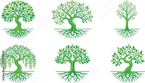Quadro su tela Set of stylized green trees with roots