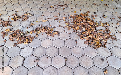 Autumn leaves scattered on hexagonal grey paving stones, natural fall background texture