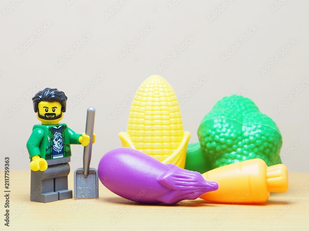Fototapeta premium Indonesia - February 10, 2026 : Mini toy of action figure at outdoor with blur background. Miniature photography concept design. Minifigure of farmer character with corn, broccoli, eggplant and carrot