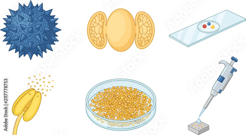 Fotografía Scientific Palynology Vector Set with Microscopic Pollen Grain Structures Spores