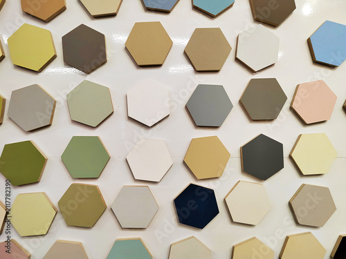 Hexagonal color samples line a glossy white display in neat rows, photographed straight on in soft indoor light. The palette supports interior planning, renovation, branding, and material selection.