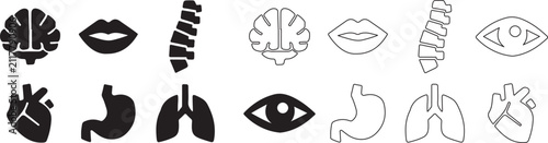 Collection of human organ icons and medical symbols for design