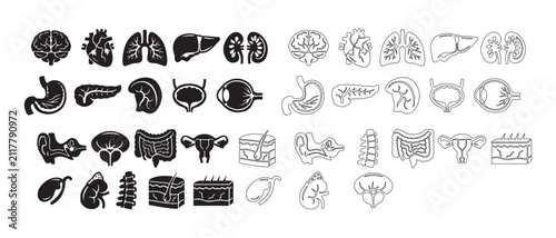 Collection of Human Internal Organ and Body Part Icons Isolated on Transparent Background