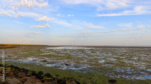 Obraz na plátne The beautiful Wadden sea during ebb tide at Terschelling