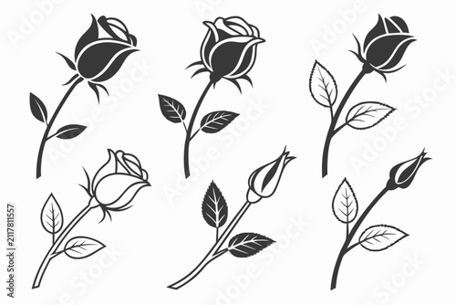 Hand drawn roses and leaves sketch on paper