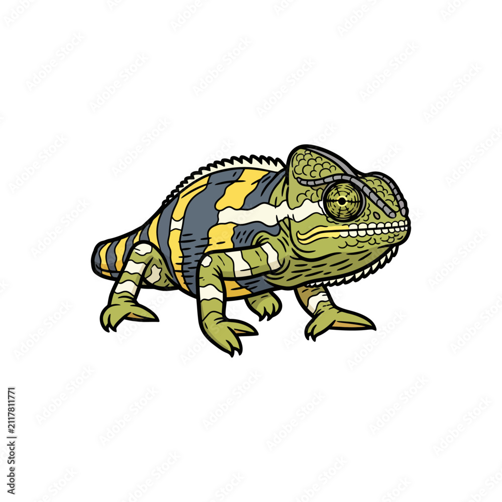 Fototapeta premium Detailed vector illustration of a colorful striped chameleon reptile isolated on a white background