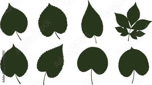 Collection of various green leaf shapes and clusters isolated on transparent background for nature design projects
