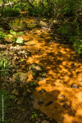 Iron-oxidizing Bacteria in a stream in Connecticut.