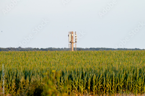 Cuadro en lienzo An airport surveillance radar tower stands beyond a green field of crops at Brussels Airport in Belgium, part of the air navigation infrastructure