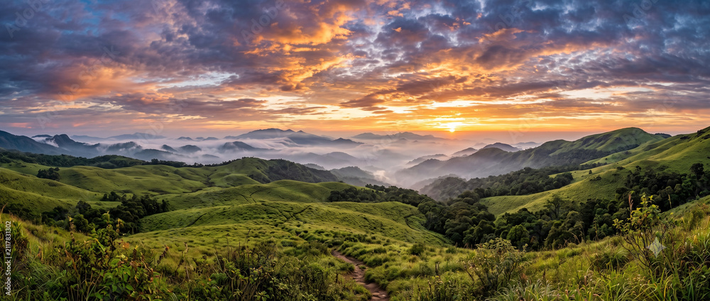 Obraz premium Beautiful Ranipuram hill station with rolling grasslands, mist-covered mountains and pristine Western Ghats landscape in Kerala India