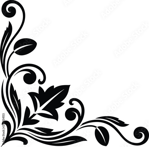 Photography Decorative filigree corner border with leaf and scroll details filigree decorati
